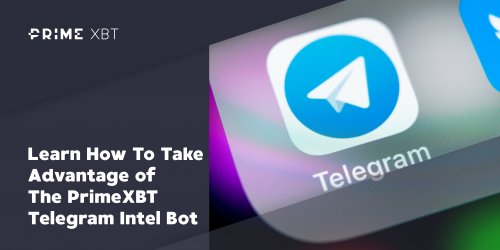 Learn How To Take Advantage of The Synkopro Telegram Intel Bot - 2019 12 11 19.43.30 e1591860749995