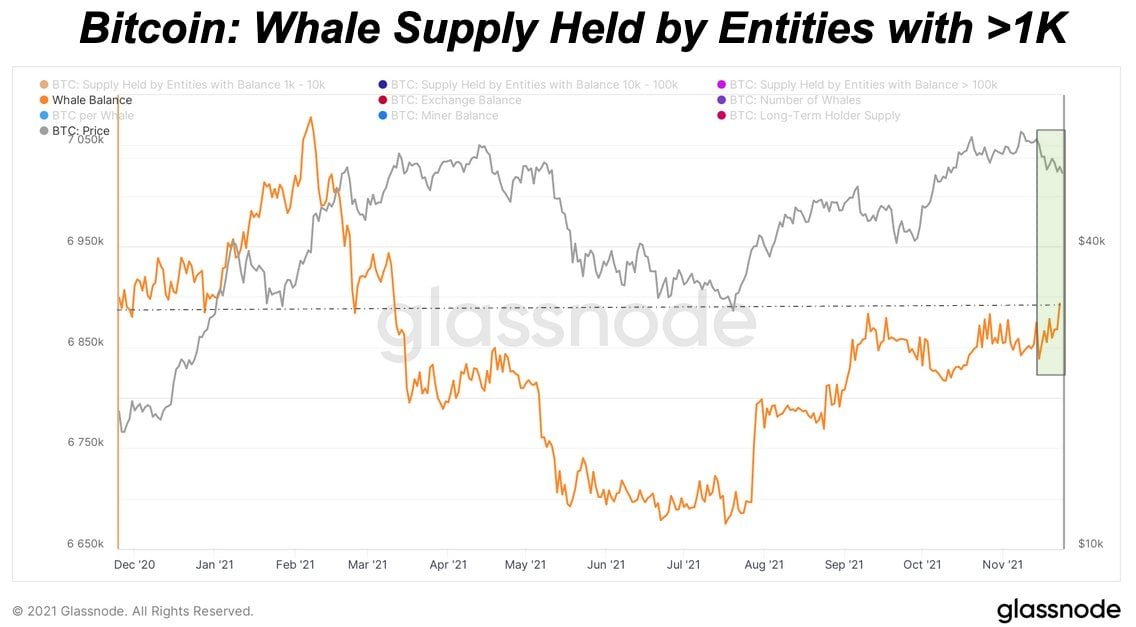 Market Research Report: Crypto Not Spared As New COVID Variant Sparkes Fears - BTC 1k whale added