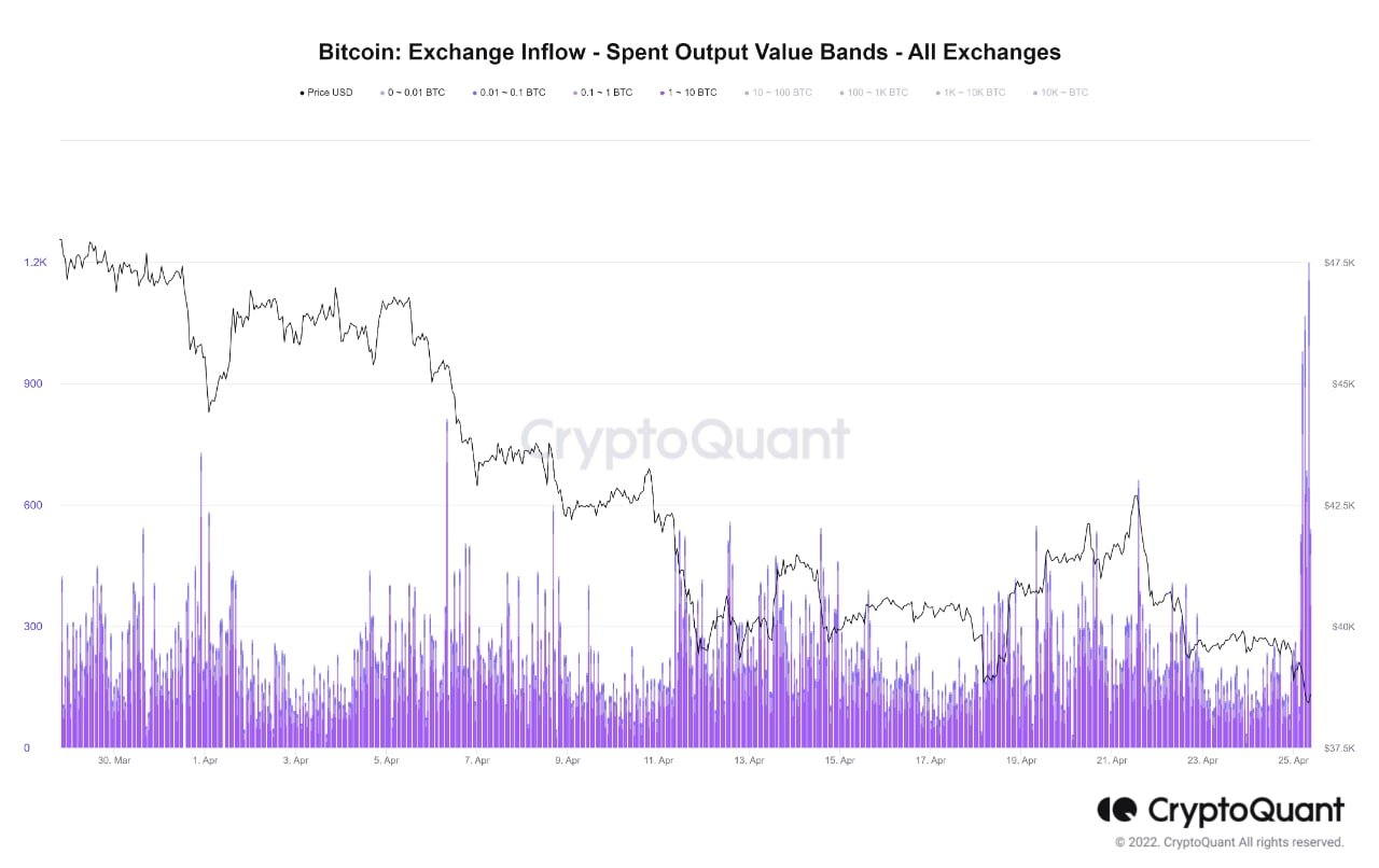 Market Research Report: BTC Grinds Lower, Altcoins Crushed As Stocks Plummet To Year’s Low; Oil Jumps 9% Market Research Report: BTC Grinds Lower, Altcoins Crushed As Stocks Plummet To Year’s Low; Oil Jumps 9% - BTC small investors
