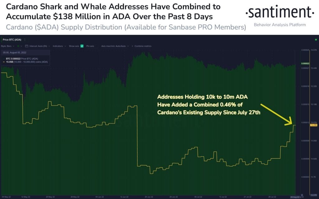 Market Research Report: Crypto Holds Firm Despite USD Rebound, Stocks Mildly Higher, Oil Crushed - ADA whale 1024x641